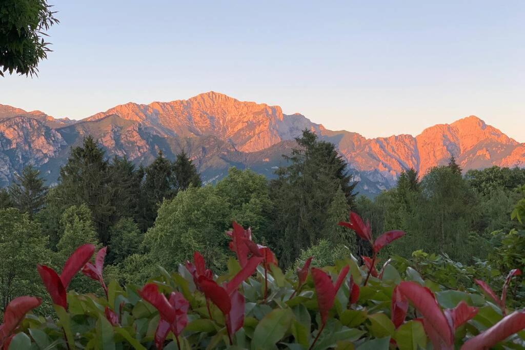 Traditional Villa Bellagio San Primo Lake Como ภายนอก รูปภาพ